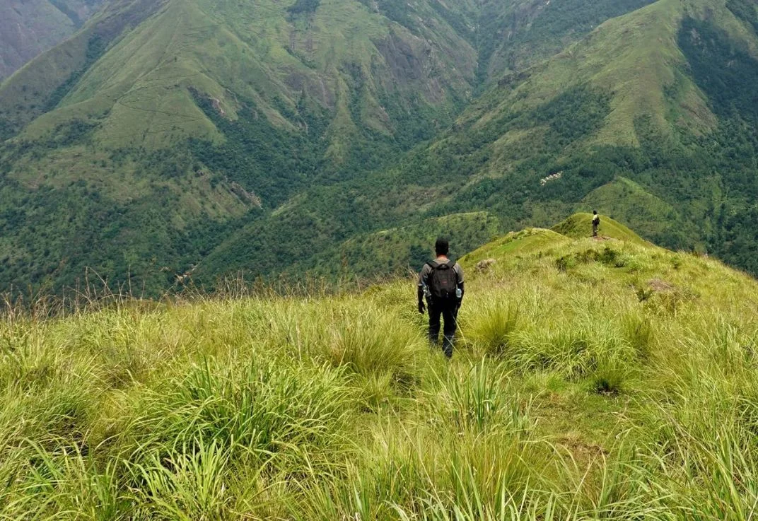 Guided treks through Wayanad hills at Wild Planet Bana Heights in Vellamunda, Kerala