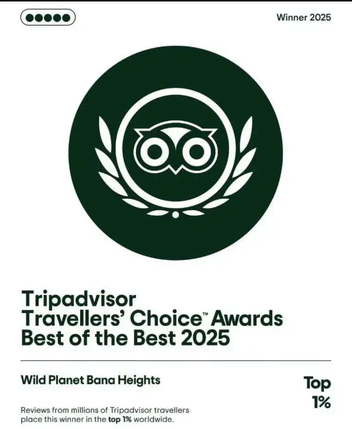Wild Planet Resort recognized with the Tripadvisor Travelers' Choice Award in Wayanad, Kerala