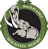 Wild Planet Bana Heights - Luxury Jungle Resort in South India | Wild Planet Experience